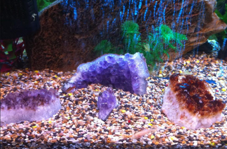 Can You Put Crystals In A Fish Tank? - Healing Picks