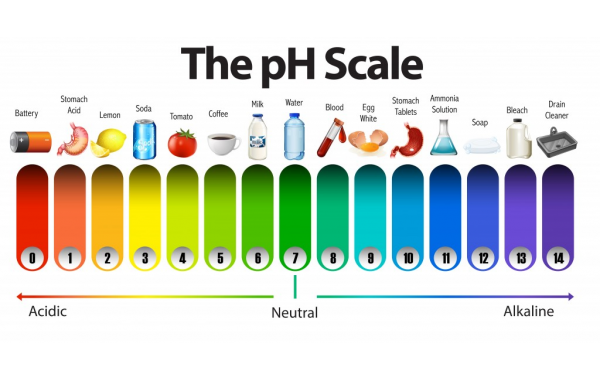 Why Does Pure Water Have A pH of 7