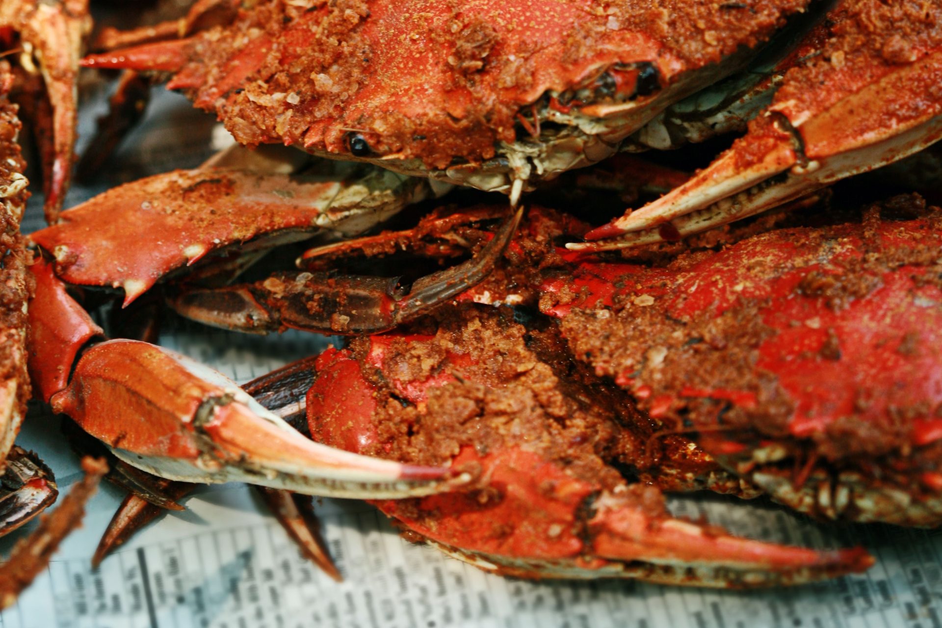 Are Crab Lungs And Gills Safe to Eat