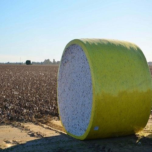 How Much Does a Bale of Cotton Weight