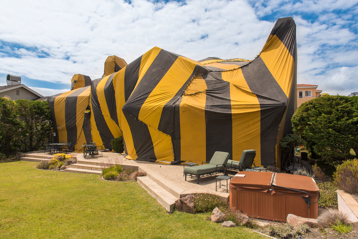 How to Clean After Tenting For Termites