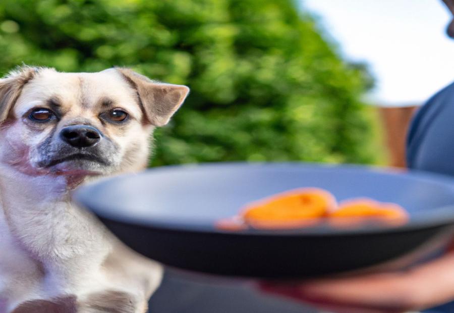 Can Dogs Get Sick from Eating Spoiled Food? - Can Dogs get sick from eating spoiled food 