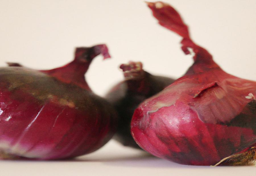 Dispelling the Myth: Do Red Onions Affect Vaginal Odor? - Do red onions make your vag smell 