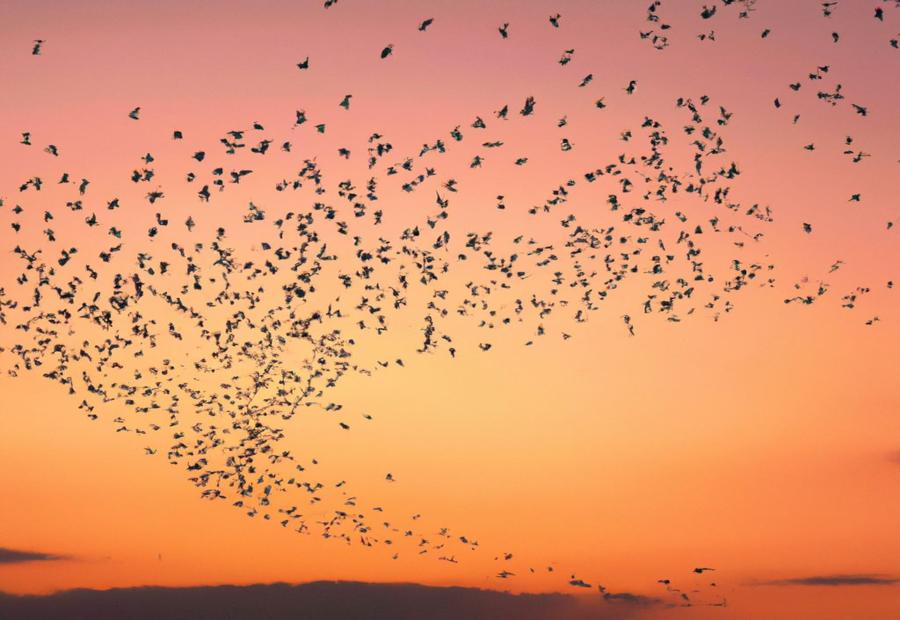 Factors that Influence Bird Travel - How Far DoEs birdsHot travEl 